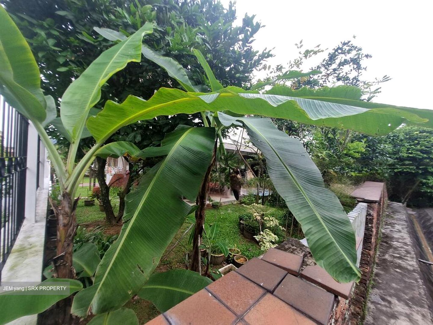 Phoenix Heights (D23), Detached #462832071